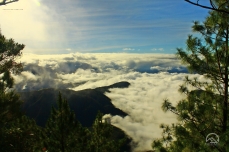 Sea of clouds at Paasa Peak of Mt. Kemalugong
